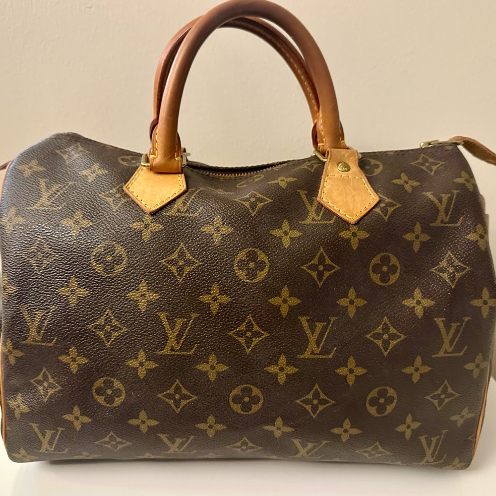 Louis Vuitton Monogram Canvas Speedy 30